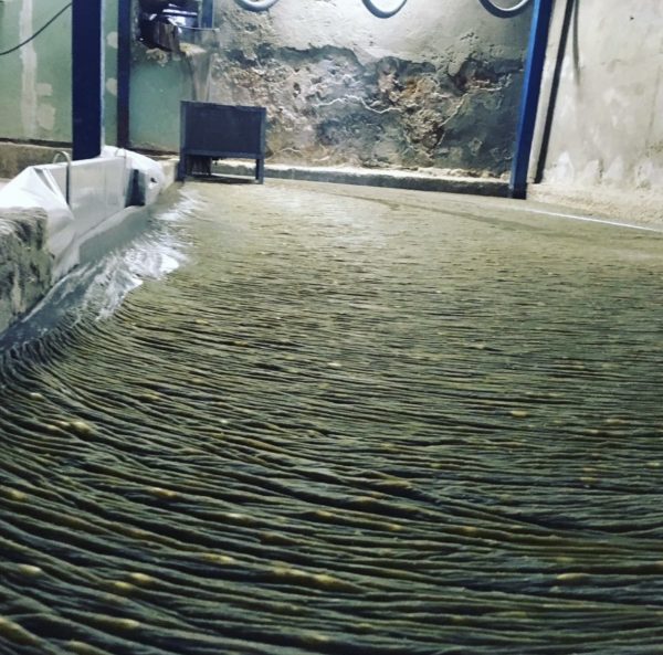 Savonnerie Le Sérail - Savon de Marseille12 Savonnerie Le Sérail - Savon de Marseille